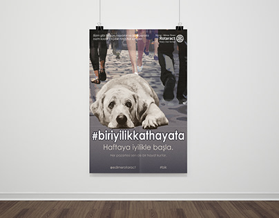 Edirne Rotary Club - Poster