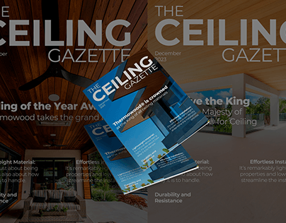The ceiling magazine - lumber plus project
