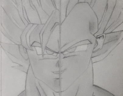 Goku & Vegeta Half Faces Drawing.