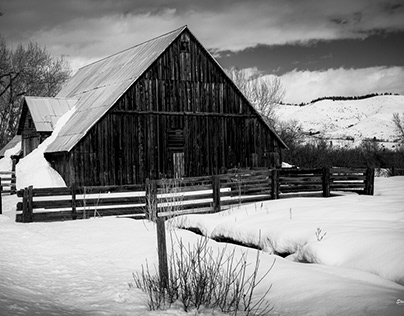 Barns in Black and White