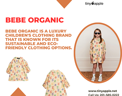 Bebe Organic Olivia Dress Gingham