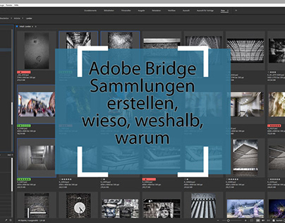 Adobe Bridge Sammlungen: Wieso, weshalb, warum