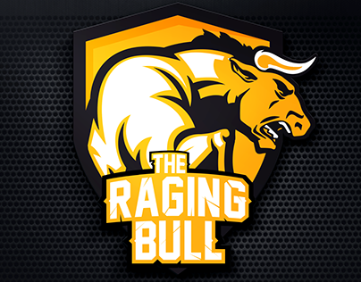 Logo of Raging Bull Team
