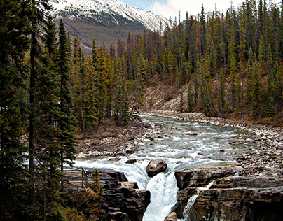 Jasper National Park, Jasper, AB, Canada