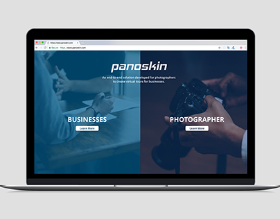 Panoskin Publisher Website UI Design