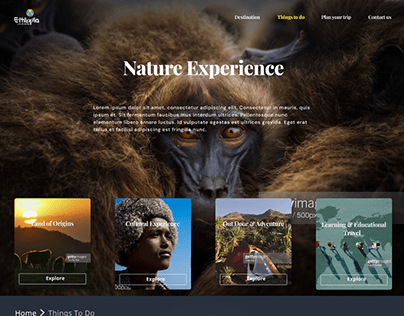 Ethiopian tour and travel website redesign