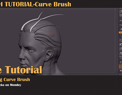Free Zbrush Tutorial - Curve Brush