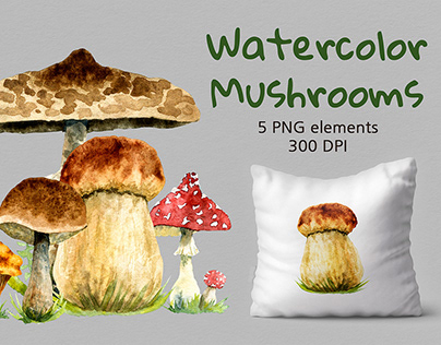 Watercolor mushrooms clipart PNG