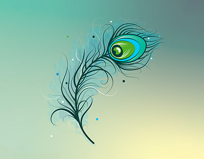 Peacock feather illustration