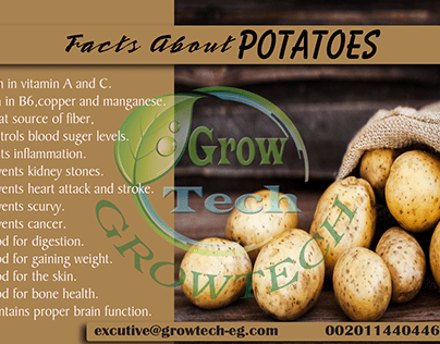Facts about potatoes - Social Media Designs