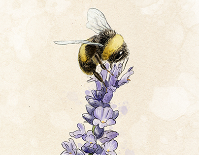 Darwin's Beekeeper - Garden Design Magazine, #199