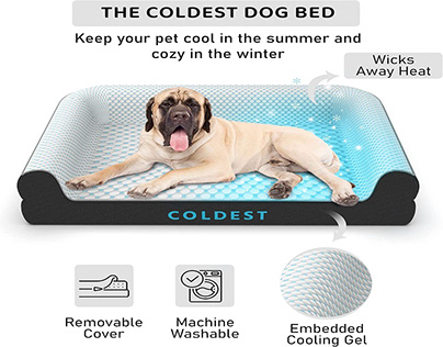 Shop Cozy Dog Bed | Washable Removable Cover