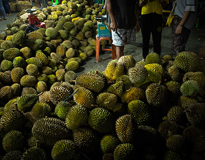 Durian , Davao City