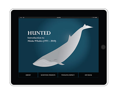 Hunted - Introduction to Minke Whales
