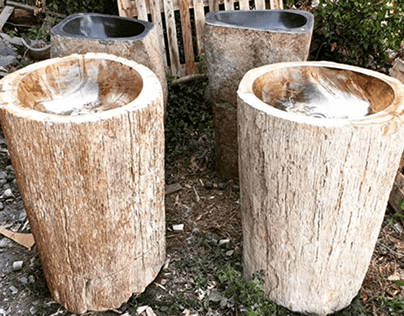 Petrified Wood Pedestal Sink