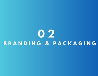 Branding and Packaging - Posh Pooch