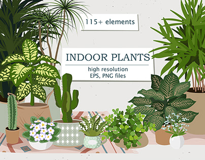 Indoor plants, Flat vector collection