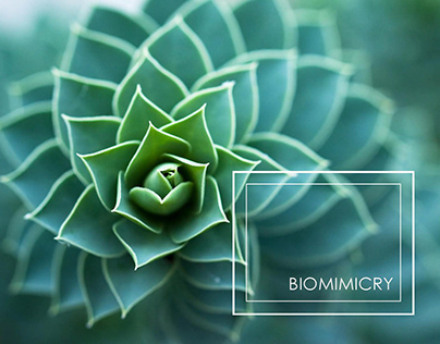 Biomimicry Research Book