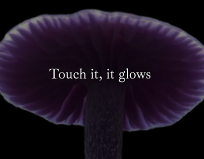 Touch it, it glows.