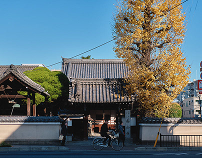 City View of Kyoto|京都