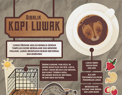 Kopi Luwak Infographic