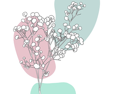 Coloring Book Illustrations - Calming Flowers