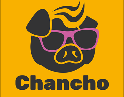 Chancho Empanadas