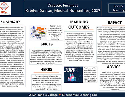 Damon Katelyn Civic Ethos Spring 2024 Diabetic Finances