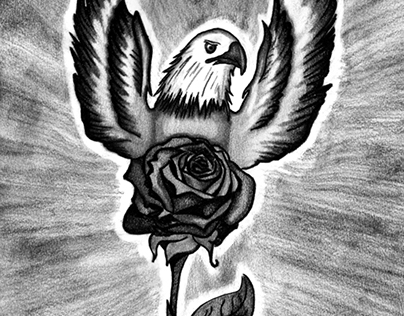 Eagle – Bleistiftzeichnung