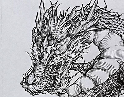 Dragon Sketeche