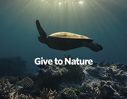 The Nature Conservancy Donation + Engagement UX/UI