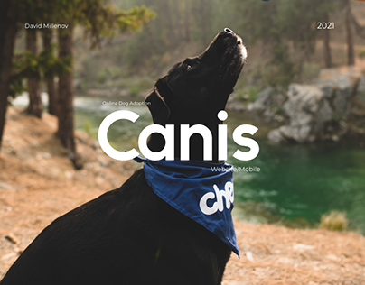 Canis | Dog Adoption UI Design | Web Design