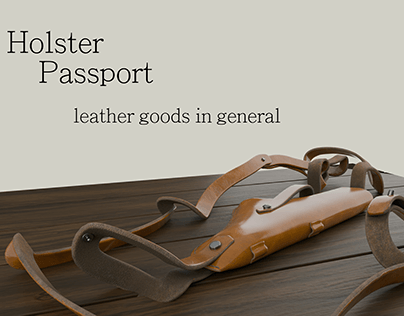 Holster/passport