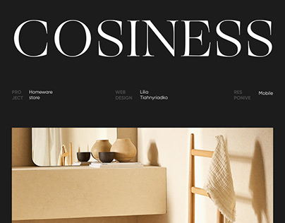 Website for homeware e-commerce store | COSINESS