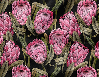 Protea watercolor pattern