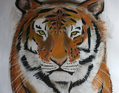 Tiger pastel
