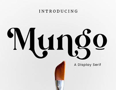Mungo - Display Serif Font