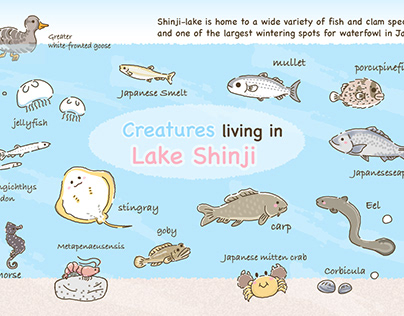 Postcards of creatures living in Lake Shinji