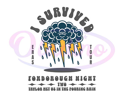 I Survived Foxborough Night 2 Eras Tour