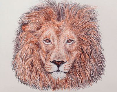Biro Lion