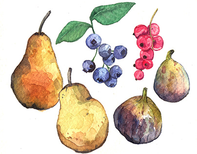 Watercolor fruit illustration
