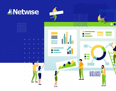 Netwise - CRM Solution Company Website