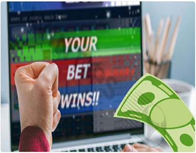 Discover the Latest and Most Exciting Bookmakers