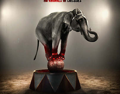 no animals in circuses