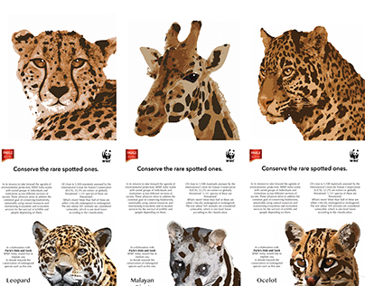 CSR Campaign for Hide n Seek in collaboration with WWF