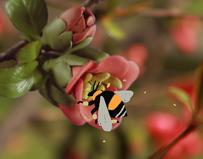 Bumblebee | short animation