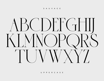 Sauvage - Elegant Font + Free Logos