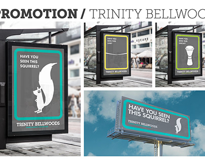 Trinity Bellwoods Promotional Campaign
