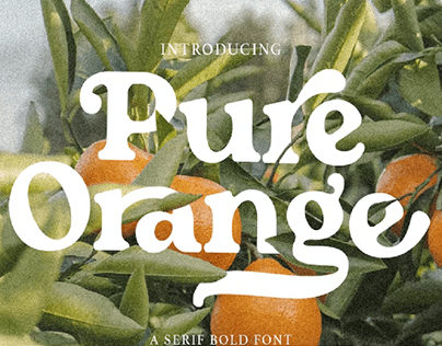 Pure Orange - Serif Bold Font