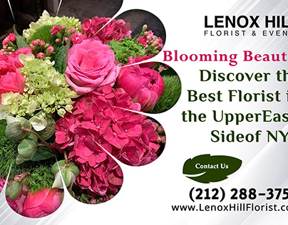 Discover the Best Florist in the Upper East Side of NYC